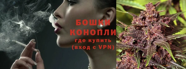 стафф Михайлов