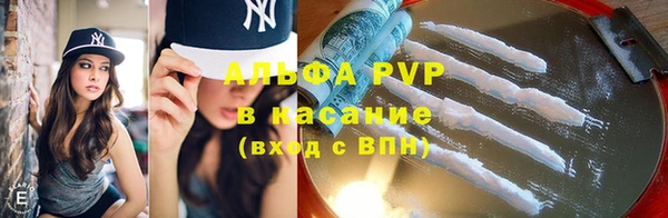 стафф Михайлов