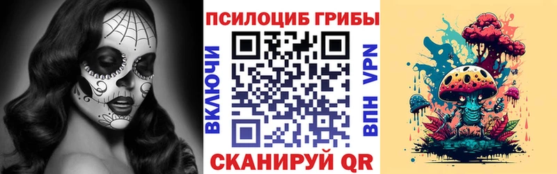 наркошоп  Рославль  Псилоцибиновые грибы прущие грибы 