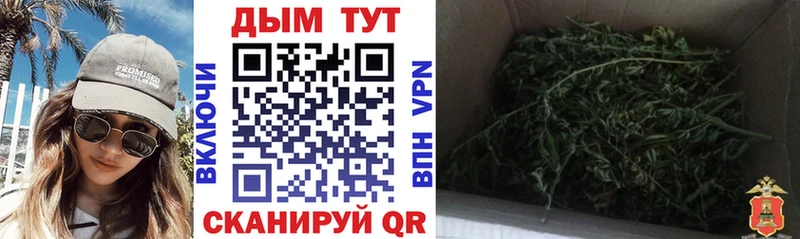 Бошки Шишки VHQ  наркота  Рославль 